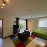 Rent 1 bedroom apartment of 35 m² in Viernheim