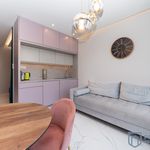 Rent 1 bedroom apartment of 29 m² in Krakow