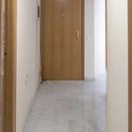 Rent a room of 240 m² in Murcia