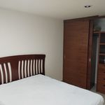 Rent 3 bedroom apartment of 160 m² in Miguel Hidalgo