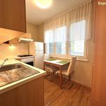 Rent 1 bedroom apartment of 56 m² in Zlín