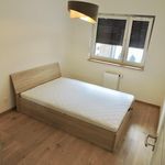 Wynajmij 2 sypialnię apartament z 38 m² w Leszno