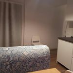 Rent 2 bedroom apartment of 40 m² in Volterra