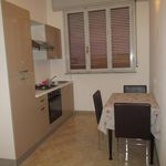 Rent 1 bedroom apartment of 60 m² in Riolo Terme