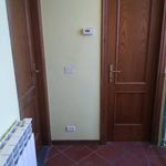 Affitto 2 camera appartamento di 110 m² in Lucca