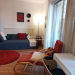 Rent 1 bedroom apartment of 39 m² in Budapest