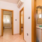 Rent 2 bedroom apartment of 50 m² in Pula