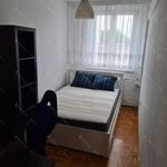 Rent 1 bedroom apartment of 55 m² in Budapest