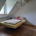 Miete 2 Schlafzimmer wohnung von 41 m² in Nürnberg