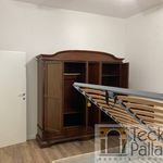 Rent 4 bedroom house of 100 m² in Torri di Quartesolo