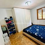 Rent 5 bedroom apartment of 115 m² in Perugia