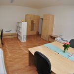 Rent 1 bedroom apartment of 25 m² in Brno