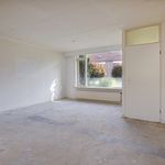 Rent 4 bedroom apartment of 115 m² in Hengelo