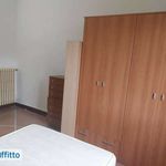 Rent 5 bedroom apartment of 120 m² in Bologna