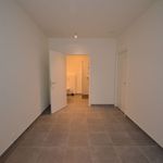 Huur 2 slaapkamer appartement in Overpelt