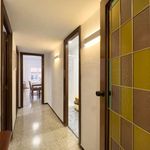 Rent 3 bedroom apartment in l'Hospitalet de Llobregat