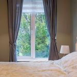 Rent a room of 45 m² in dublin