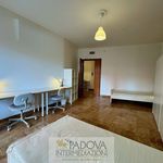 Affitto 5 camera appartamento di 110 m² in Padova