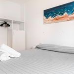 Rent 1 bedroom apartment in Terragona