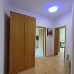 Miete 3 Schlafzimmer wohnung von 89 m² in Erfurt