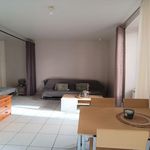  appartement avec 1 chambre(s) en location à Rodez