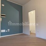 Rent 2 bedroom apartment of 61 m² in Mantova
