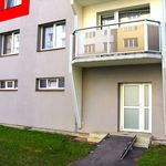 Rent 4 bedroom apartment of 71 m² in Budweis