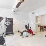 Najam 4 spavaće sobe kuća od 400 m² u Zagreb
