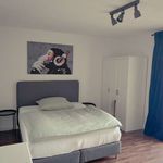 Rent a room in frankfurt