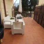 Rent 2 bedroom apartment of 39 m² in Palermo