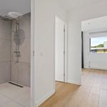 Rent a room of 121 m² in 's-Gravenhage