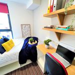 Rent 1 bedroom student apartment in Sunderland