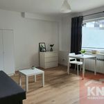 Rent 1 bedroom apartment of 36 m² in Bełchatów