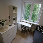 Rent 3 bedroom apartment in Łódź