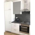 Rent 1 bedroom apartment of 49 m² in Ilvesheim