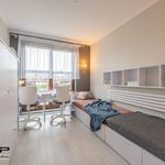 Wynajmij 3 sypialnię apartament z 70 m² w Szczecin