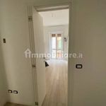 Affitto 4 camera appartamento di 120 m² in Casaletto Lodigiano