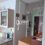 Rent 1 bedroom apartment of 36 m² in Zichovec