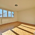 Rent 5 bedroom house of 245 m² in Woluwe-Saint-Pierre