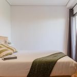 Alquilar 8 dormitorio apartamento en València