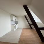 Appartement de 41 m² avec 1 chambre(s) en location à Roubaix