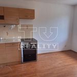 Rent 2 bedroom apartment of 34 m² in Číhošť