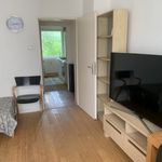 Rent 3 bedroom apartment of 55 m² in Hanover