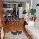 Rent 3 bedroom apartment of 58 m² in Srebrnjak
