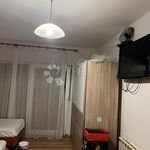 Rent 1 bedroom apartment of 40 m² in Podhum