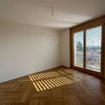 Rent 5 bedroom house in VD Lausanne