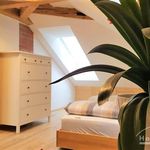 Miete 3 Schlafzimmer wohnung von 80 m² in Dresden