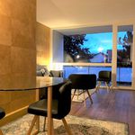 Rent 1 bedroom apartment of 29 m² in Lyon