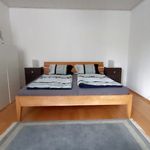 Rent 3 bedroom apartment of 60 m² in Stuttgart