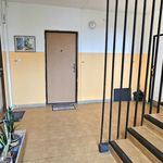Rent 1 bedroom apartment of 34 m² in Havirov